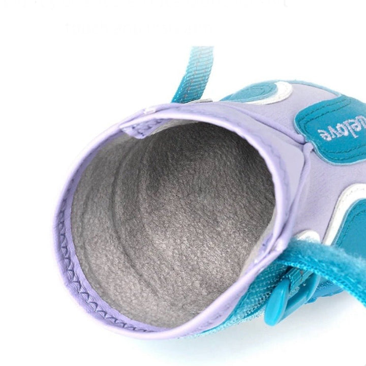 Waterproof Non - Slip Dog Shoes | Bull Terrier World