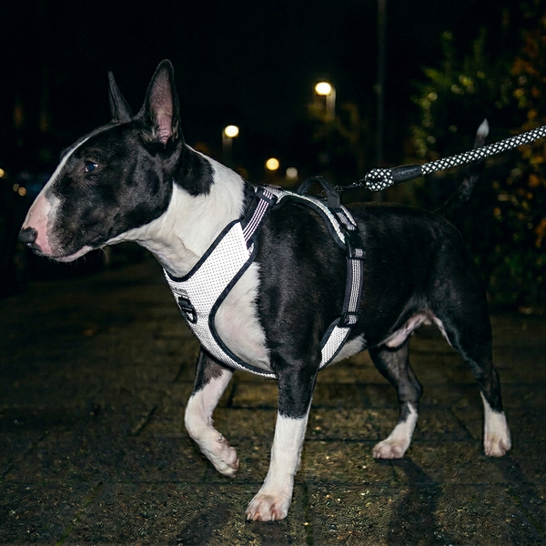 Imbracatura antistrappo super riflettente 3M