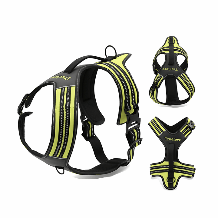 3M Reflective No-Pull Padded Harness Bull Terrier World