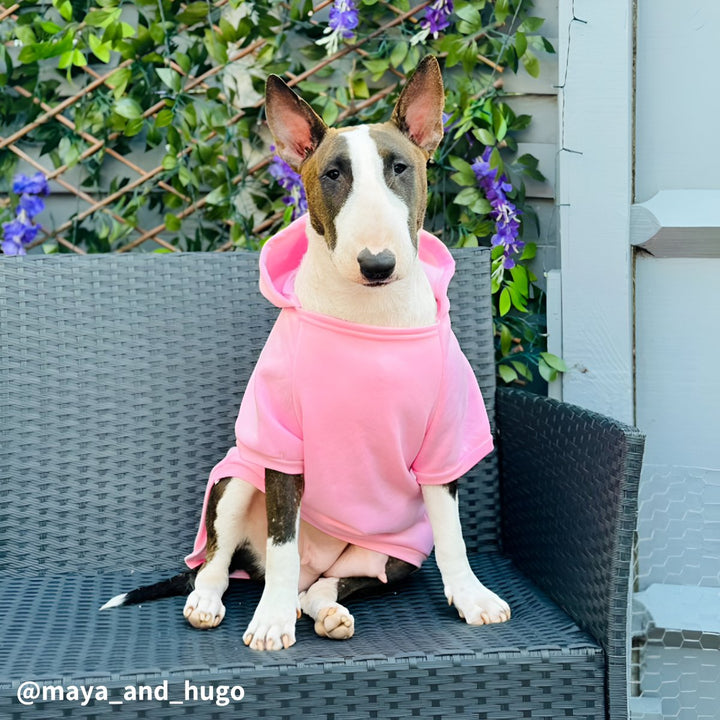 Plain Bull Terrier Hoodie | Bull Terrier World