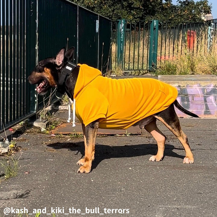 Hoodie With Zipper Pocket | Bull Terrier World