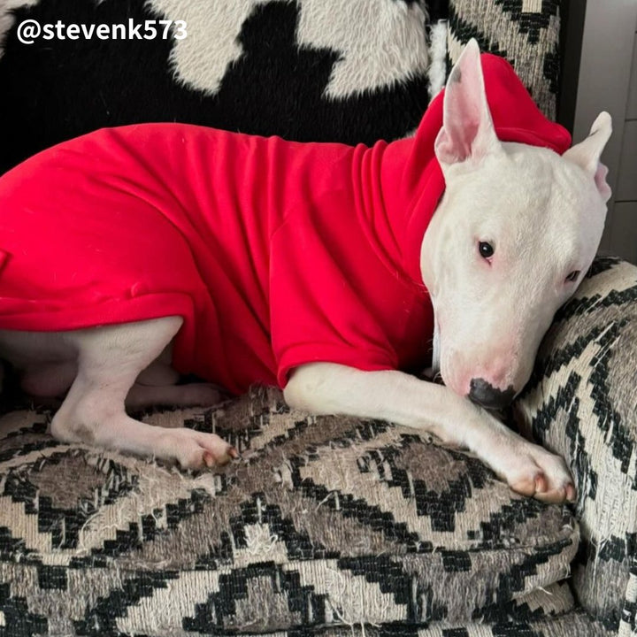 Hoodie With Zipper Pocket | Bull Terrier World