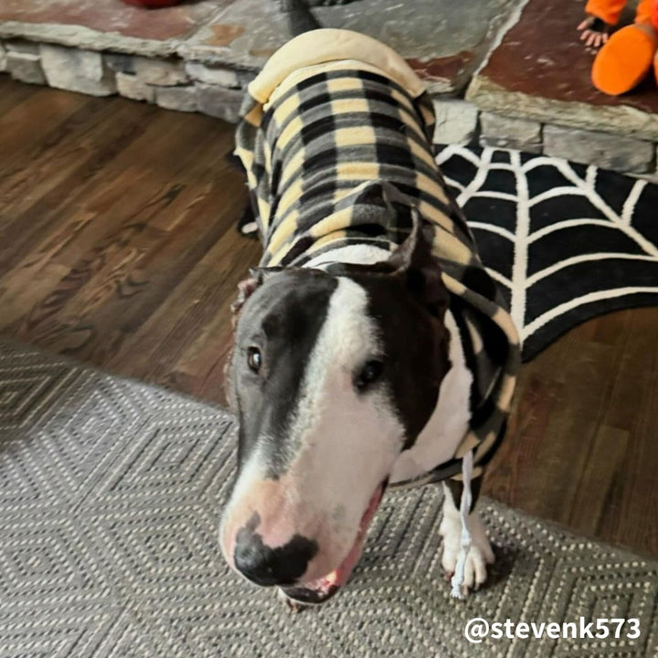 Plaid Hoodie With Zipper Pocket | Bull Terrier World