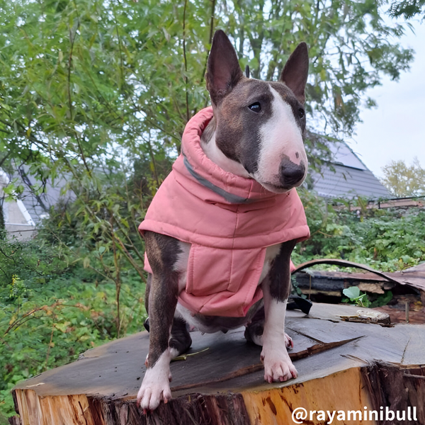 Gilet de chien imperméable avec col haut