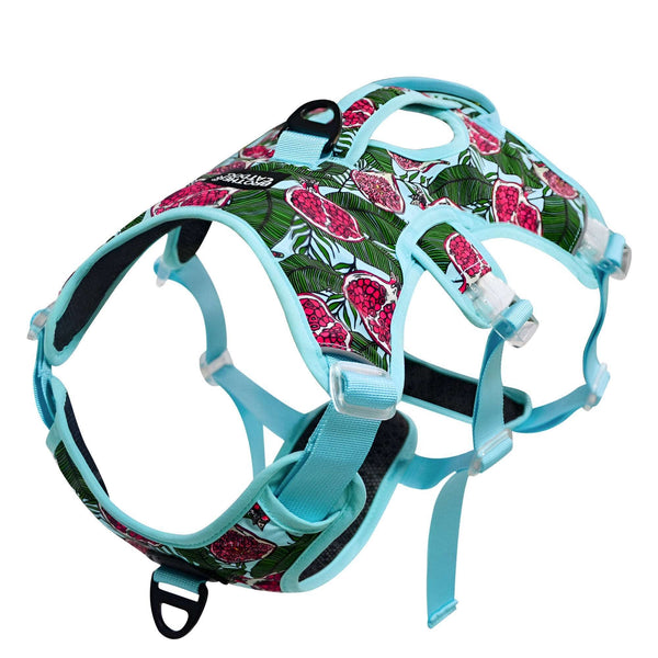 Colorful No-Pull Escape-Proof Harness Bull Terrier World S / Blue
