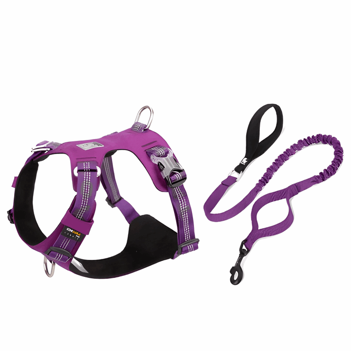 Premium Reflective Lightweight Cordura Harness & Leash Set Bull Terrier World 2XS / Purple