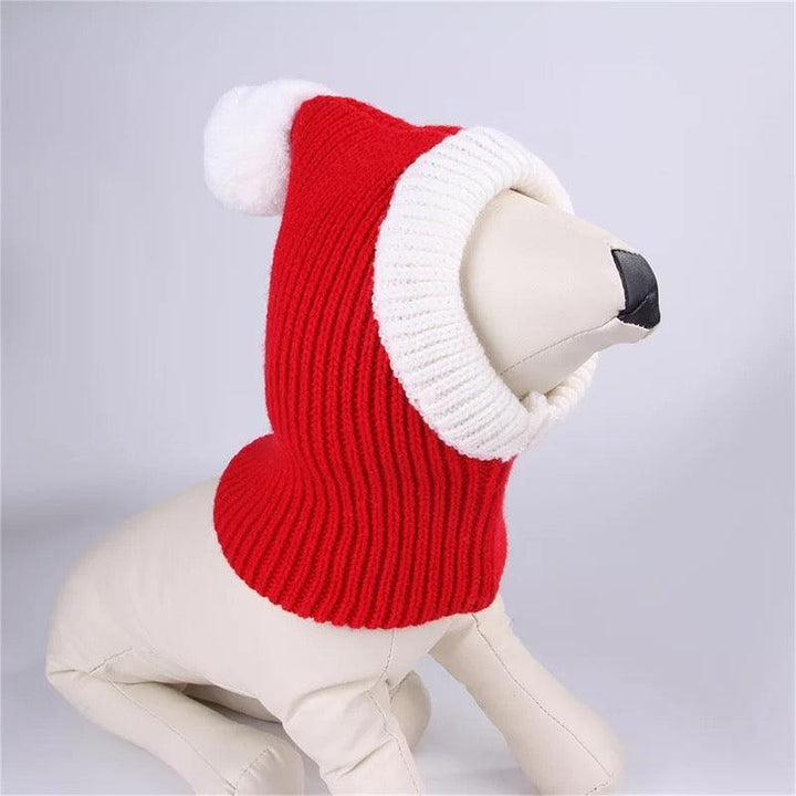 Knitted Dog Winter Hat | Bull Terrier World