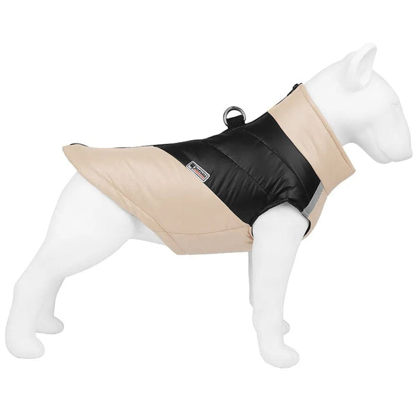 Leash-Ready Two-Color Vest | Bull Terrier World