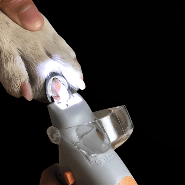 Magnifying LED Dog Nail Clippers Bull Terrier World