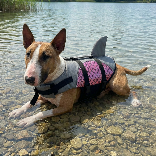 Metallic Life Jacket With Fin