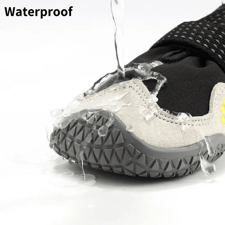 Non-Slip Waterproof Shoes | Bull Terrier World