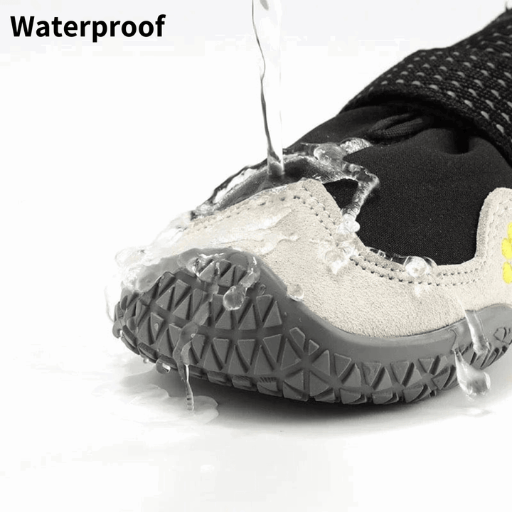 Non-Slip Waterproof Shoes Bull Terrier World