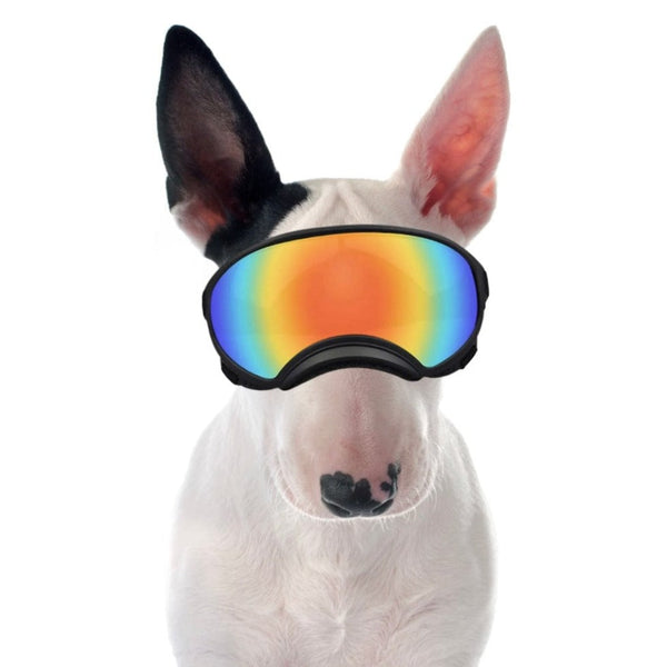 Protective Dog UV Goggles | Bull Terrier World