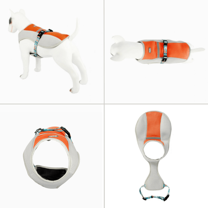 Reflective Cooling Vest | Bull Terrier World