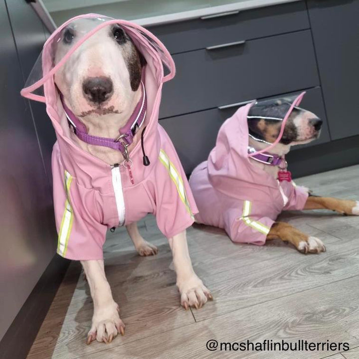 Reflective Dog Raincoat | Bull Terrier World