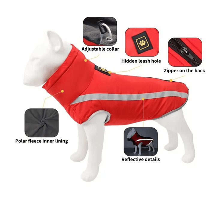 Reflective Vest With Retractable Collar | Bull Terrier World