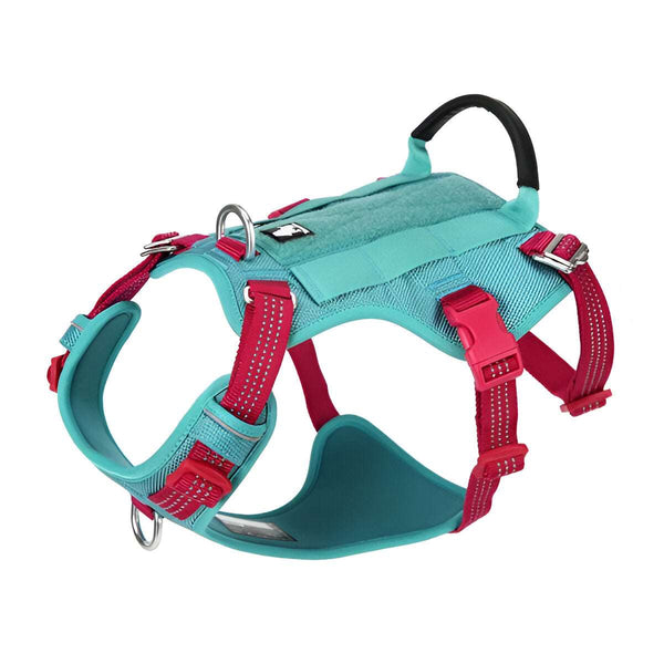 3M No-Pull Escape-Proof Harness Bull Terrier World M / Cyan