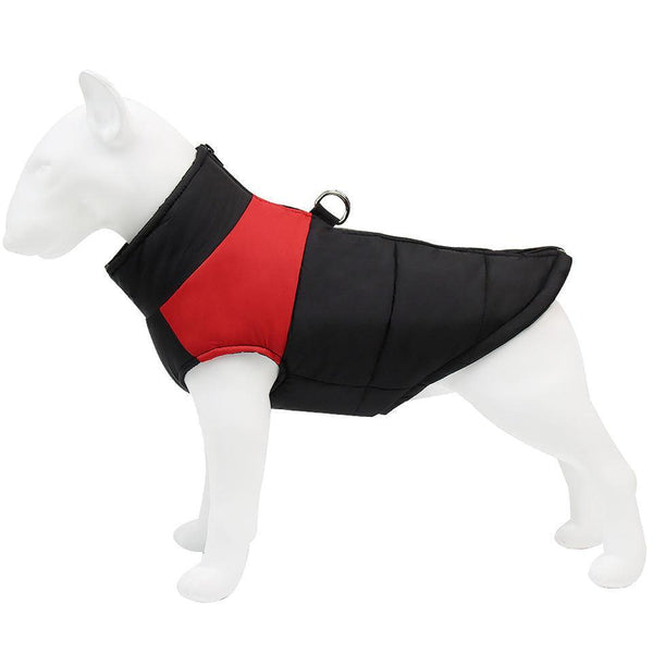 Warm Waterproof Dog Vest | Bull Terrier World