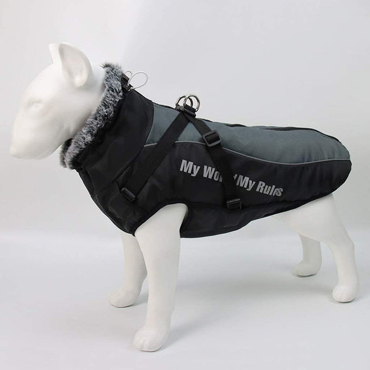 Warm Waterproof Winter Vest Bull Terrier World XL / Gray