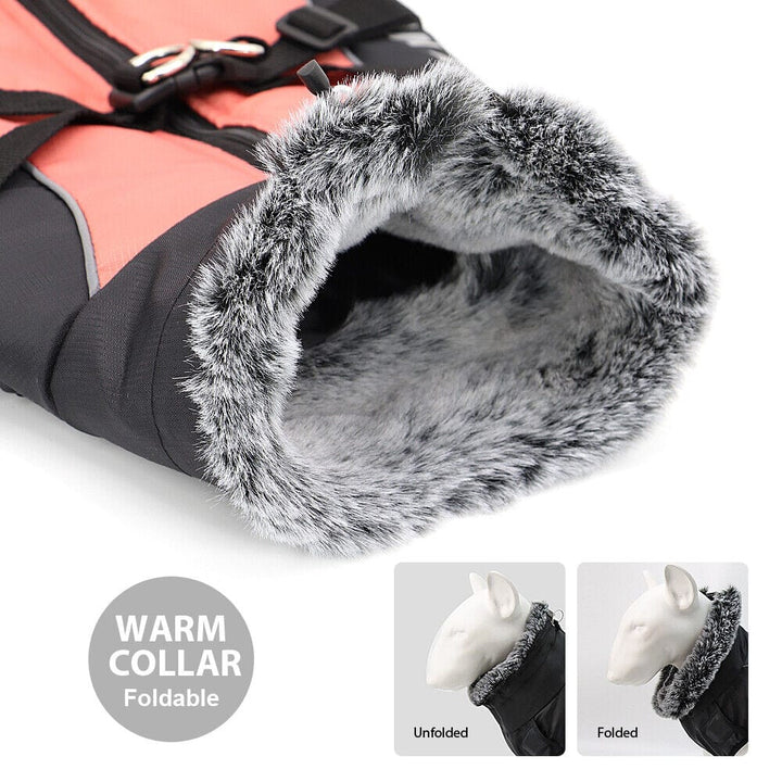 Warm Waterproof Winter Vest Bull Terrier World
