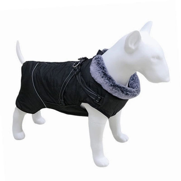Winter Vest With Harness | Bull Terrier World