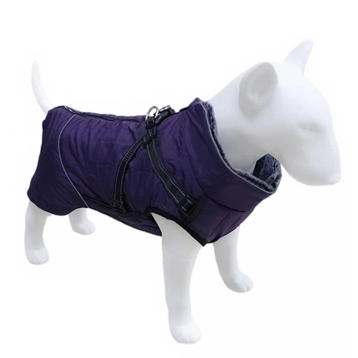 Winter Vest With Harness Bull Terrier World S / Purple