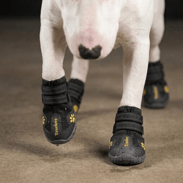 Zapatos impermeables ajustables para perros