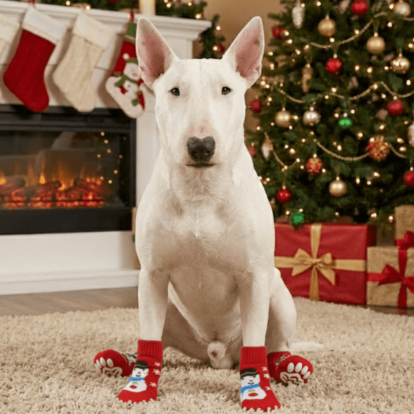 Anti - Skid Snowman Socks | Bull Terrier World