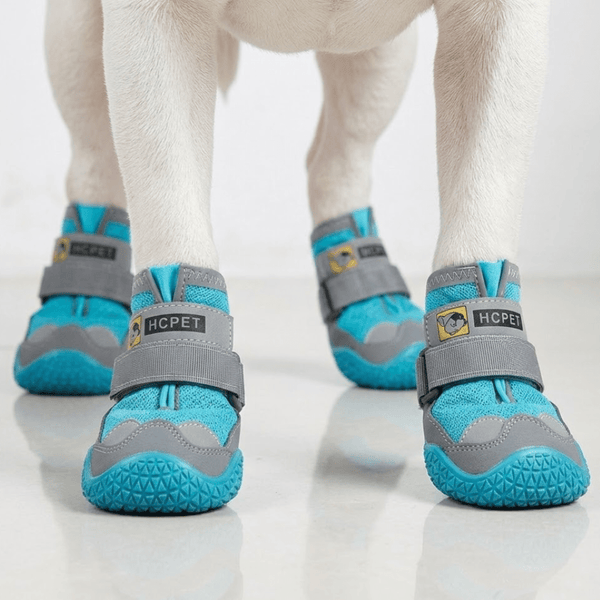 Zapatos transpirables para perros