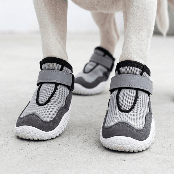 Zapatos de malla transpirable para perros
