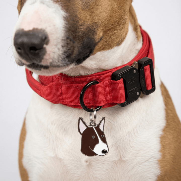 Bull Terrier Pendant | Bull Terrier World