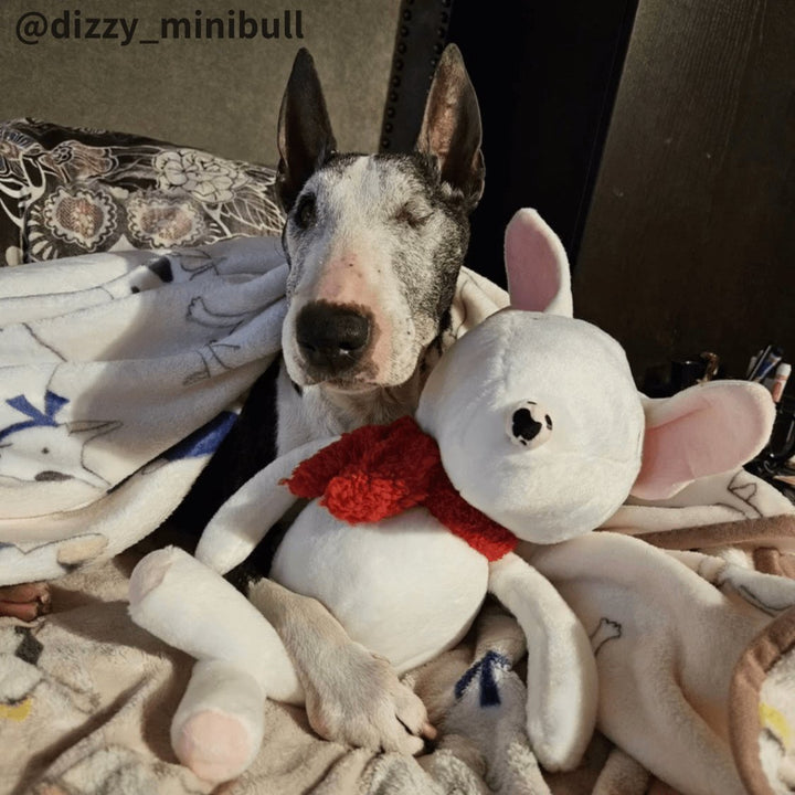 Bull Terrier Plush Toy | Bull Terrier World