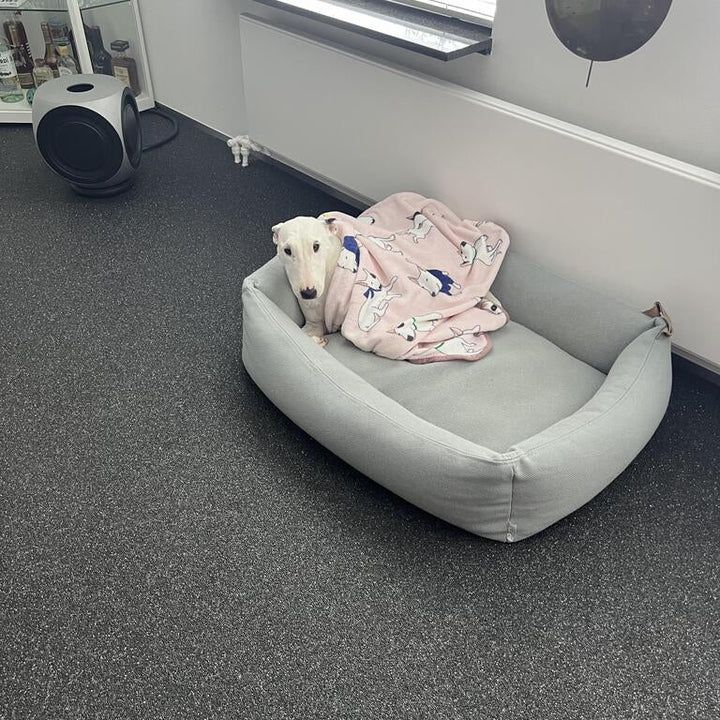 Bull Terrier Printed Fleece Blanket | Bull Terrier World