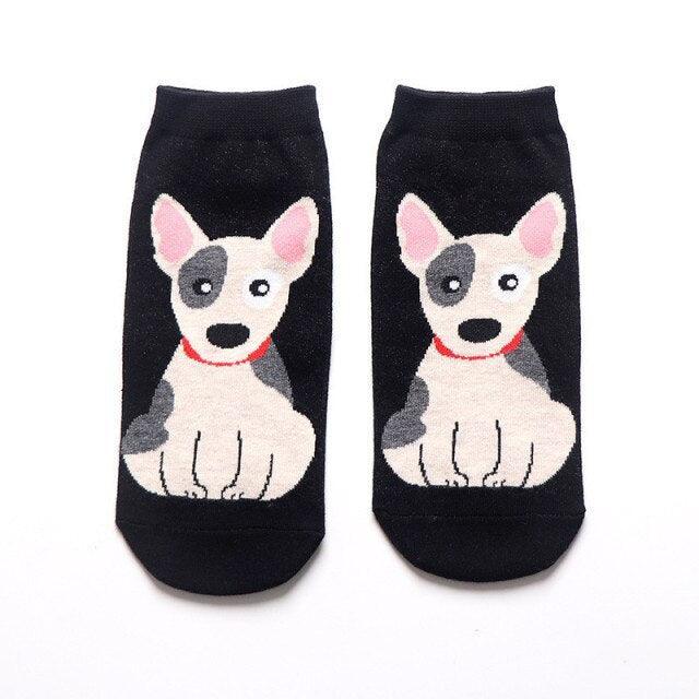 Bull Terrier Socks | Bull Terrier World