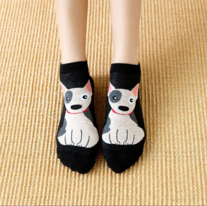 Bull Terrier Socks | Bull Terrier World