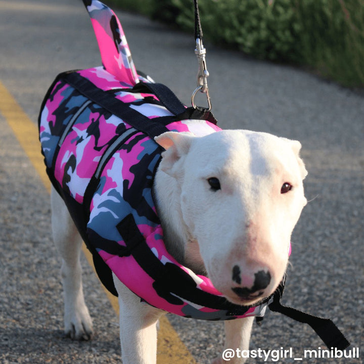 Camo Life Jacket With Fin | Bull Terrier World