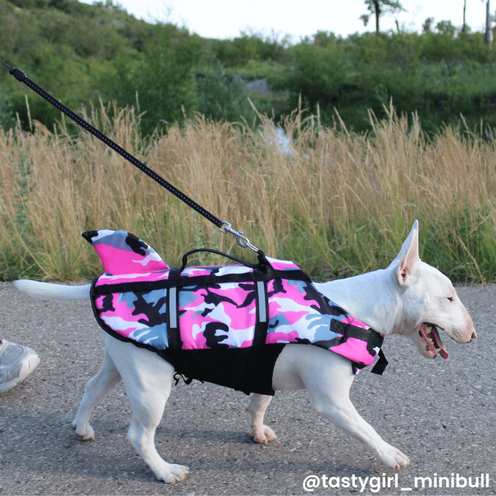 Camo Life Jacket With Fin | Bull Terrier World