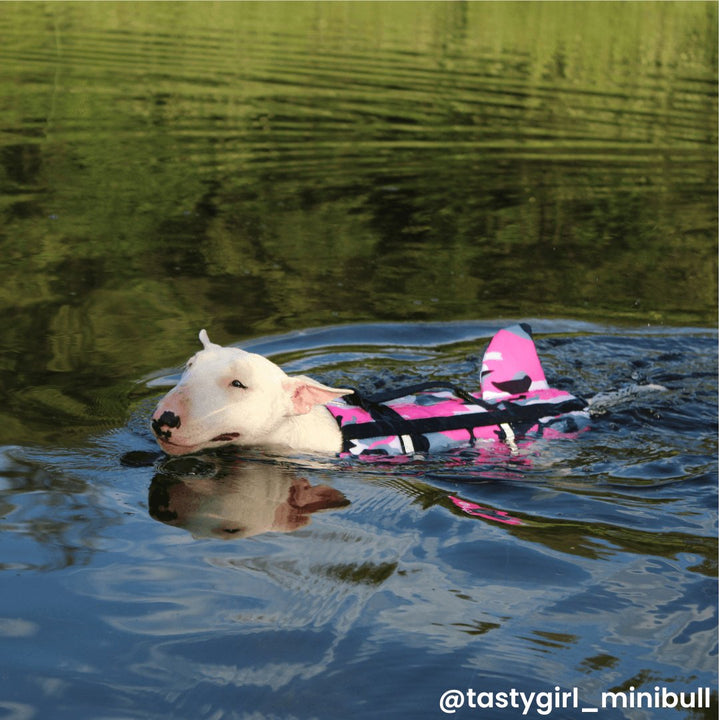 Camo Life Jacket With Fin | Bull Terrier World