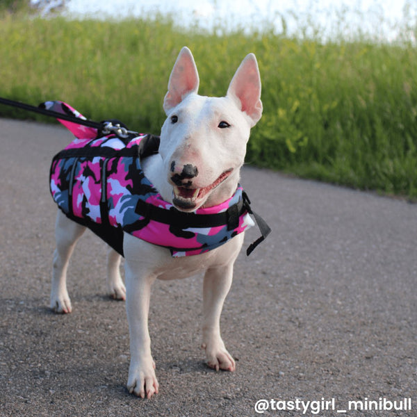 Camo Life Jacket With Fin | Bull Terrier World