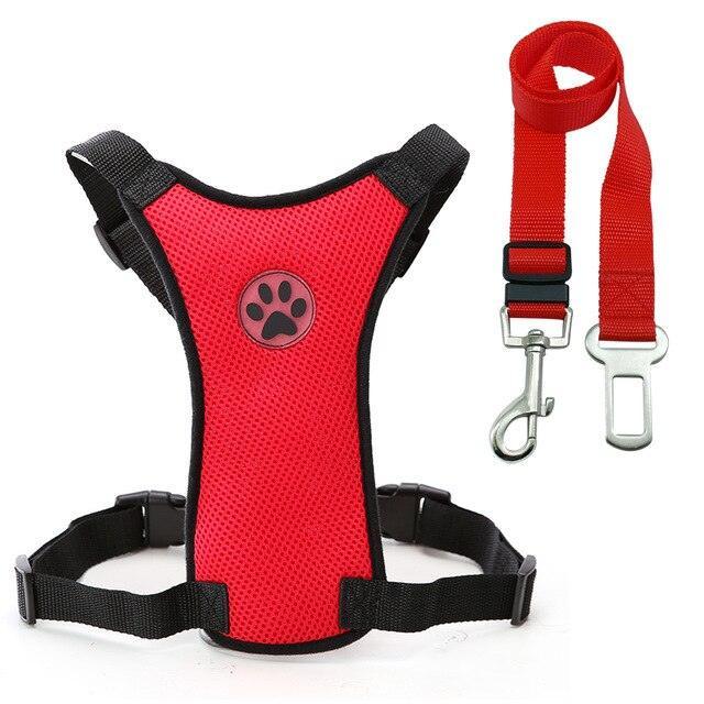 Car Safety Harness and Leash Set