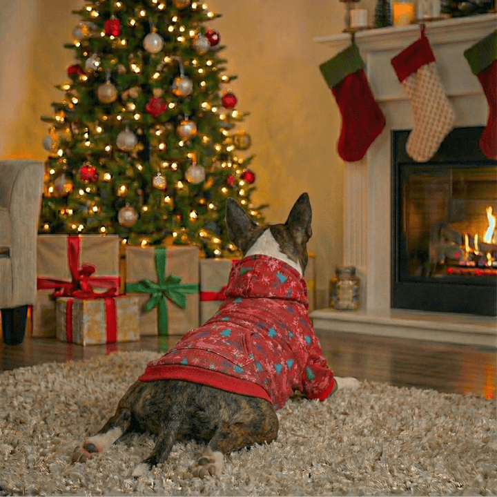 Christmas Hoodie With Pocket | Bull Terrier World