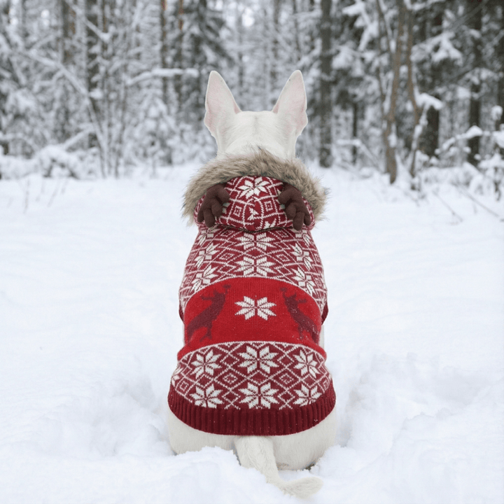 Christmas Sweater With Antlers | Bull Terrier World