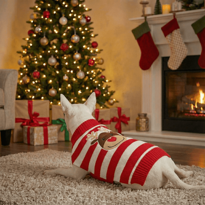 Christmas Sweater With Deer | Bull Terrier World