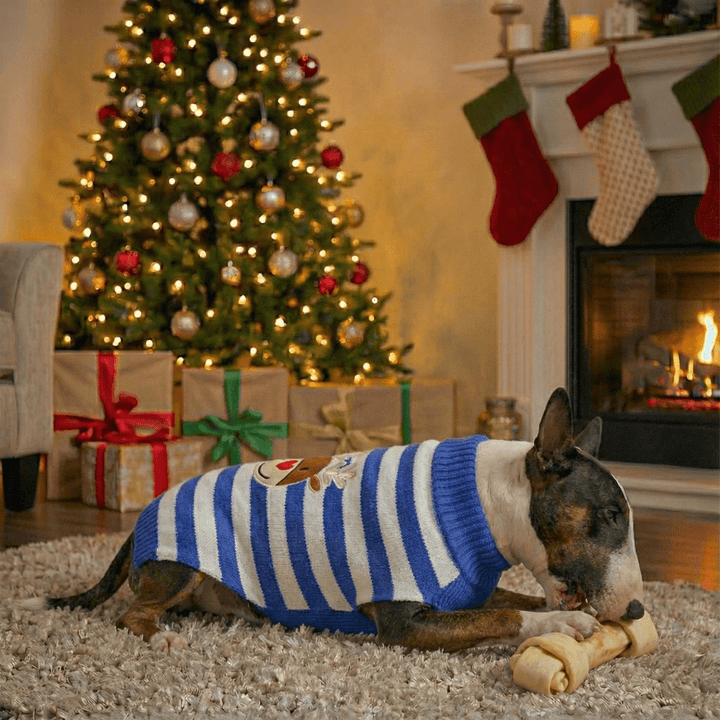 Christmas Sweater With Deer | Bull Terrier World