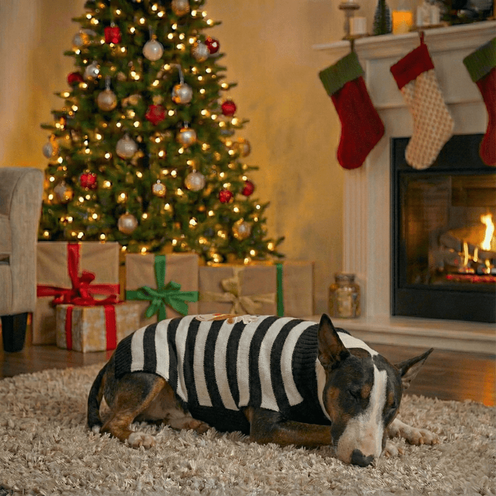 Christmas Sweater With Deer | Bull Terrier World