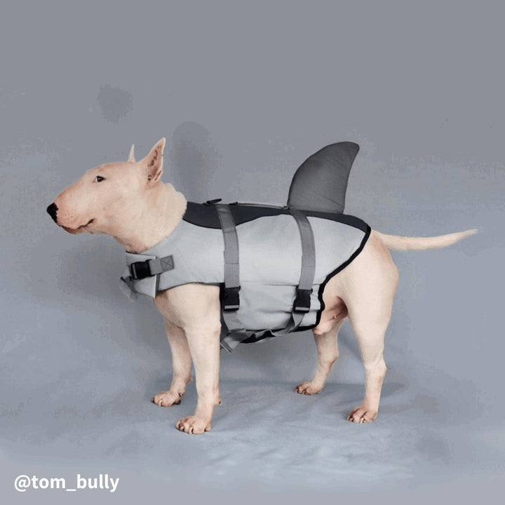 Dog Shark Life Jacket | Bull Terrier World