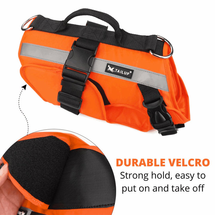 Double Support Dog Life Jacket | Bull Terrier World