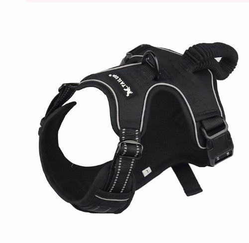 Easy Control No - Pull Harness | Bull Terrier World