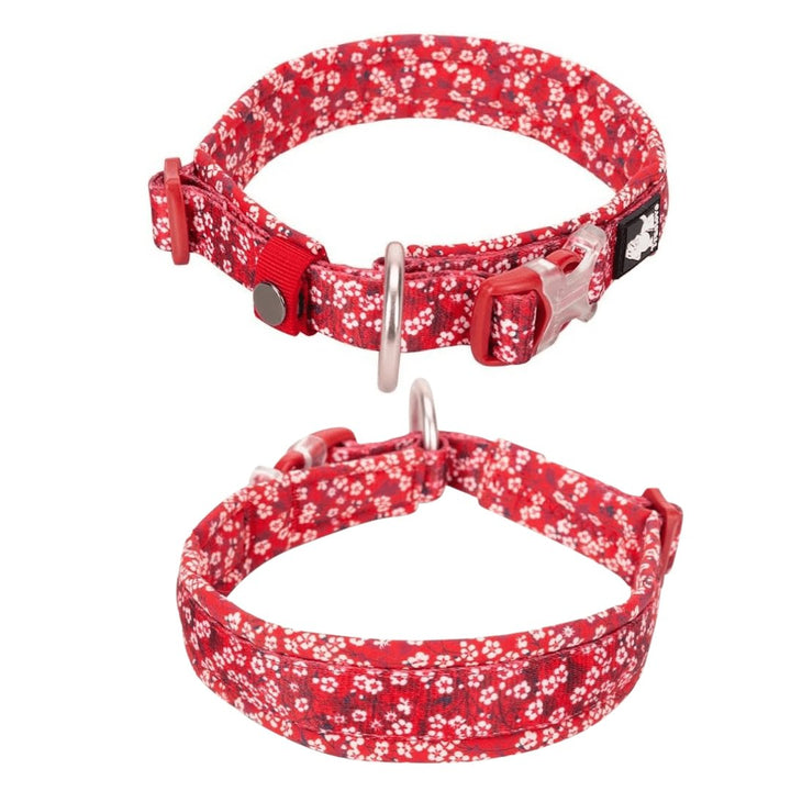 Floral Padded Collar | Bull Terrier World