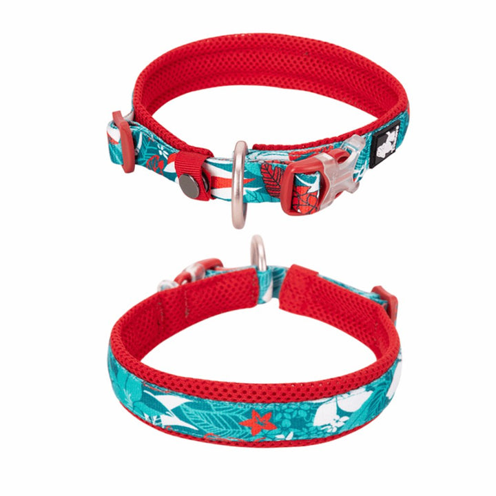 Floral Padded Collar | Bull Terrier World